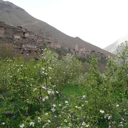 Gite Atlas Mazik Imlil  Esterno foto