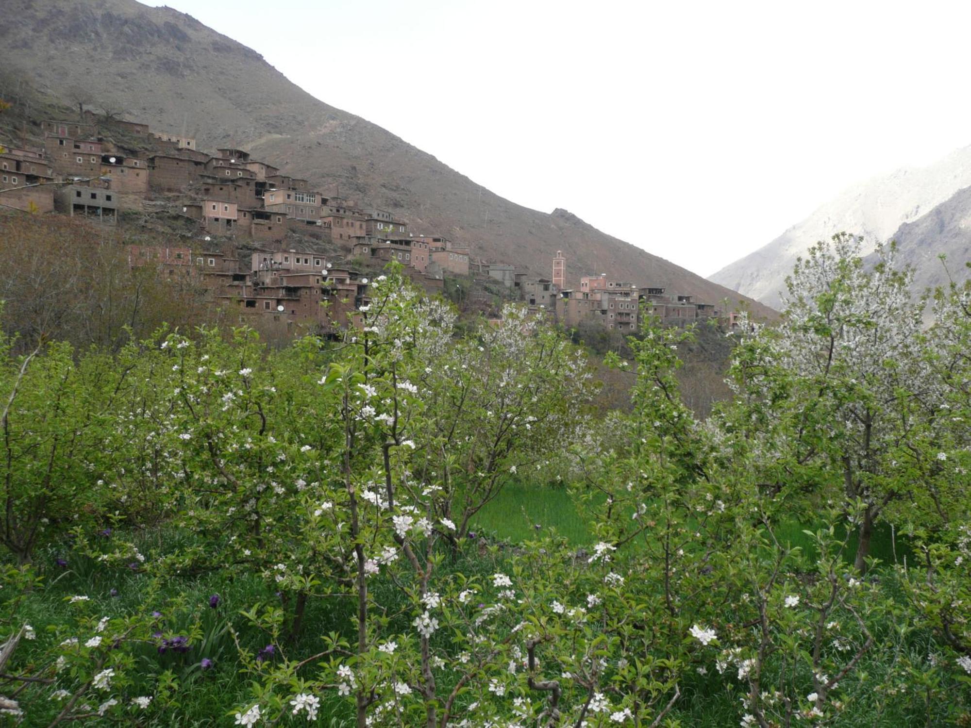 Gite Atlas Mazik Imlil  Esterno foto