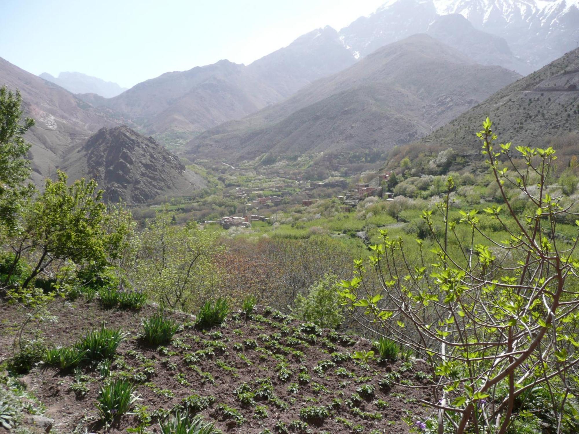 Gite Atlas Mazik Imlil  Esterno foto